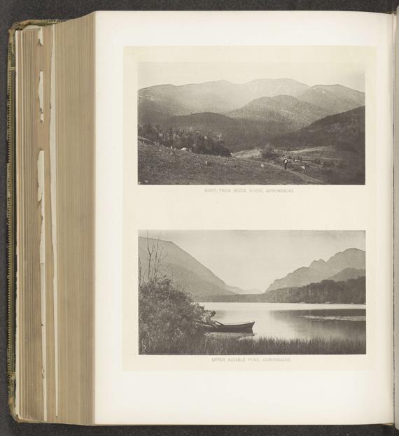 Adirondacks Definition, Meaning & Usage