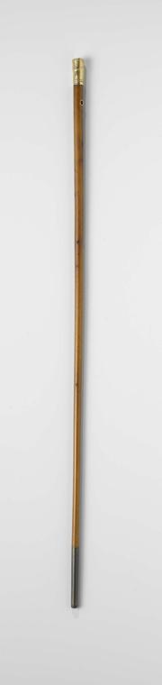 rattan-cane-definition-meaning-usage-finedictionary