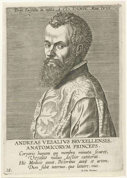 Vesalius Definition, Meaning & Usage | FineDictionary.com