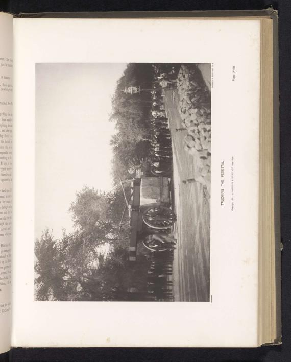 Cart Definition, Meaning & Usage