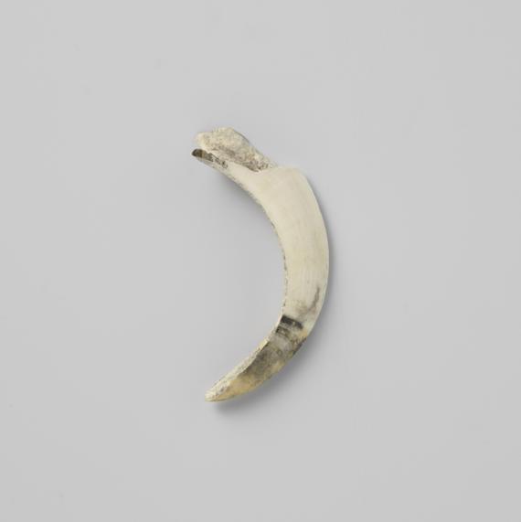 Comma Tooth Comma Definition, Meaning & Usage | FineDictionary.com