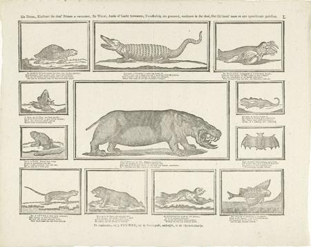 Amphibians Definition, Meaning & Usage | FineDictionary.com