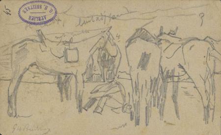 WHAT DOES ADJUTANT MEAN visual data 6