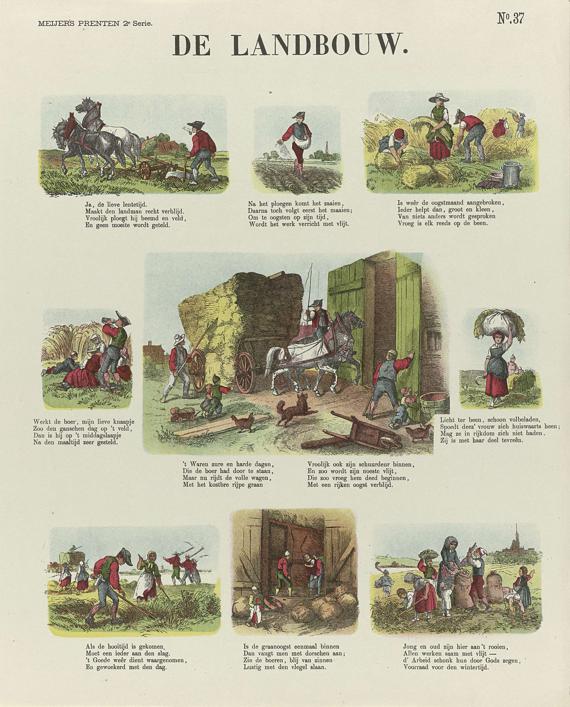 Sow Definition, Meaning & Usage